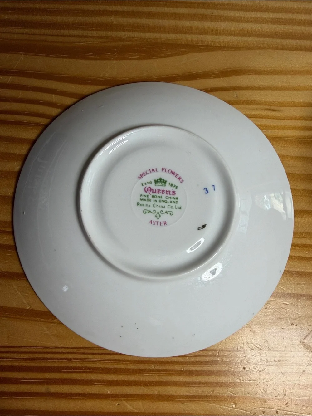 Vintage Queens Bone China September Aster Teacup & Saucer Set England